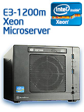 Intel E3-1200 Xeon Microszerver